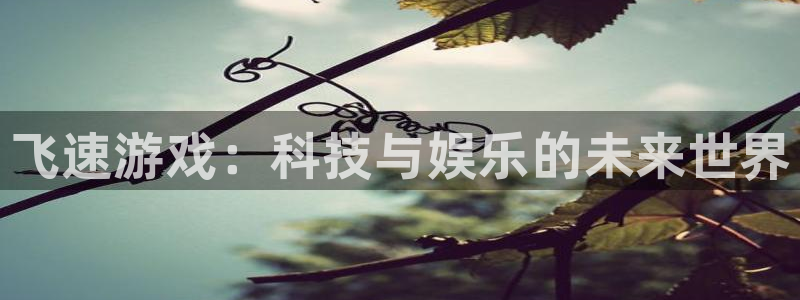 高德娱乐注册测速：飞速游戏：科技与娱乐的未来世界