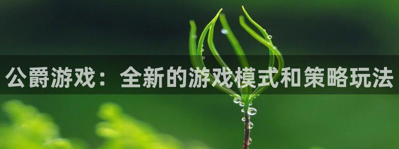 高德娱乐app最新版本更新内容介绍视频