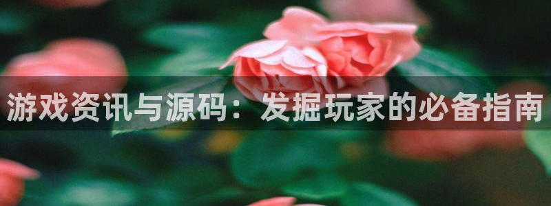 高德娱乐总代理注册：游戏资讯与源码：发掘玩家的必备指南