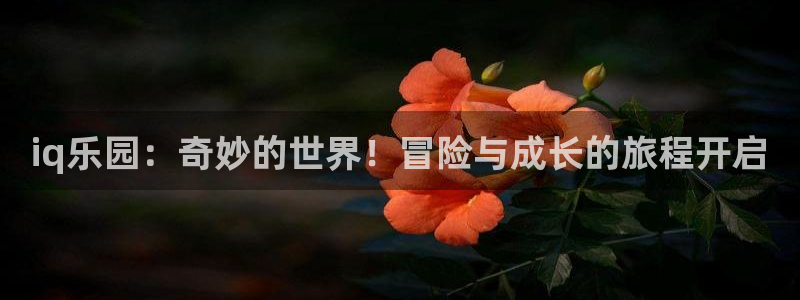 高德娱乐总代理注册：iq乐园：奇妙的世界！冒险与成长的旅程开