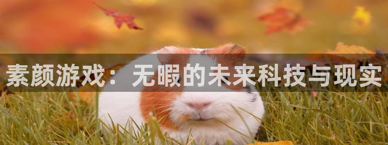 高德娱乐注册登录