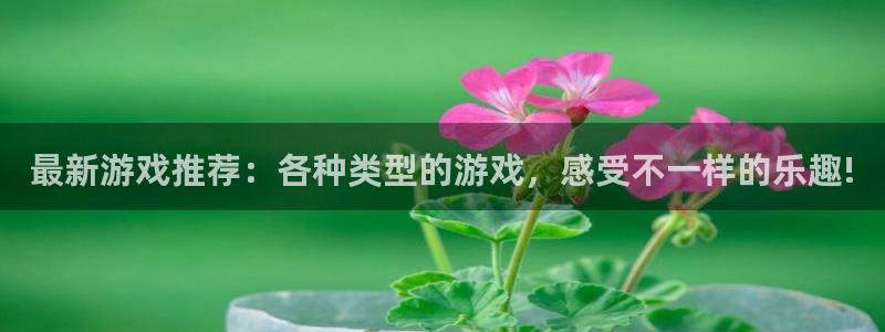 高德娱乐官网登录：最新游戏推荐：各种类型的游戏，感受不一样的