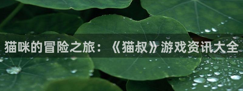 高德娱乐2登录：猫咪的冒险之旅：《猫叔》游戏资讯大全
