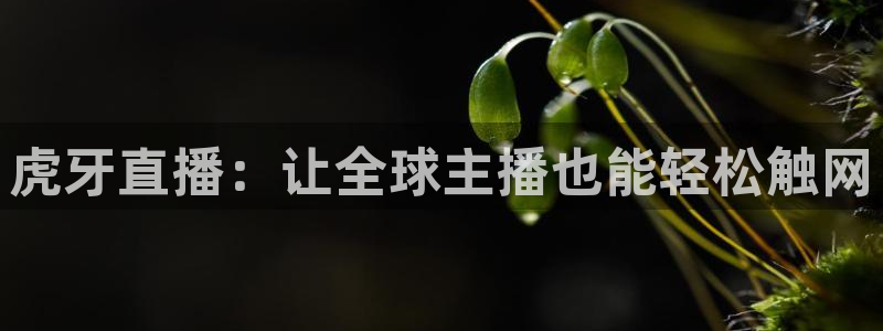 斗球24小时直播在线观看：虎牙直播：让全球主播也能轻松触网
