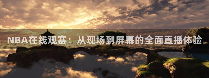 斗球体育直播app：NBA在线观赛：从现场到屏幕的全面直播体验