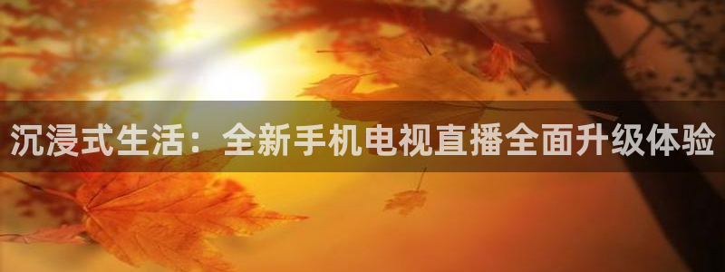 斗球直播nba免费观看下载：沉浸式生活：全新手机电视直播全面升级体验