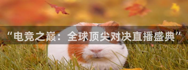 斗球直播ios版：“电竞之巅：全球顶尖对决直播盛典”