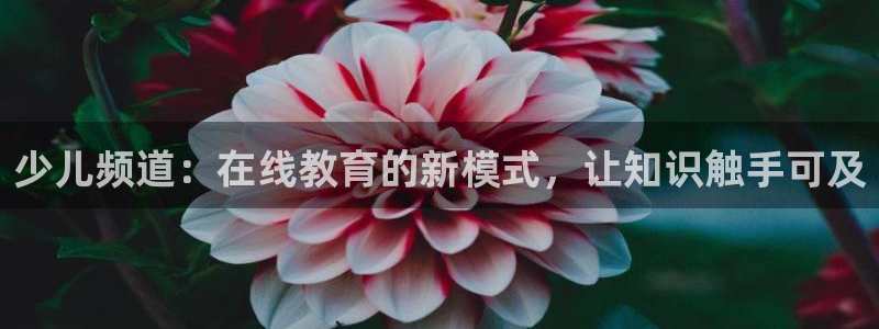 斗球app在线观看免费：少儿频道：在线教育的新模式，让知识触手可及