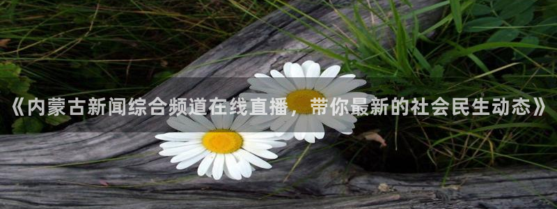 斗球直播app下载安卓最新版：《内蒙古新闻综合频道在线直播，带你最新的社会民生动态》