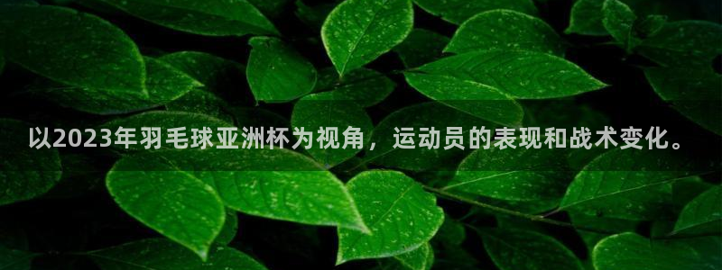 斗球直播app下载电脑版：以2023年羽毛球亚洲杯为视角，运动员的表现和战术变化。