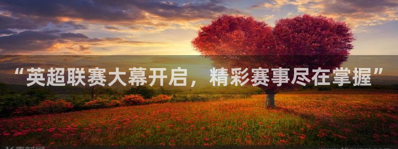 nba斗球直播：“英超联赛大幕开启，精彩赛事尽在掌握”