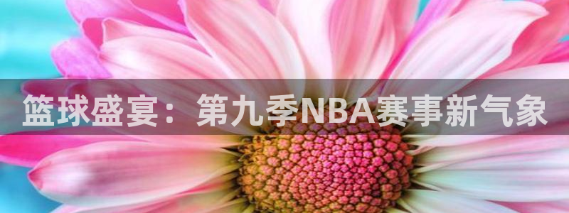 斗球app在线观看：篮球盛宴：第九季NBA赛事新气象