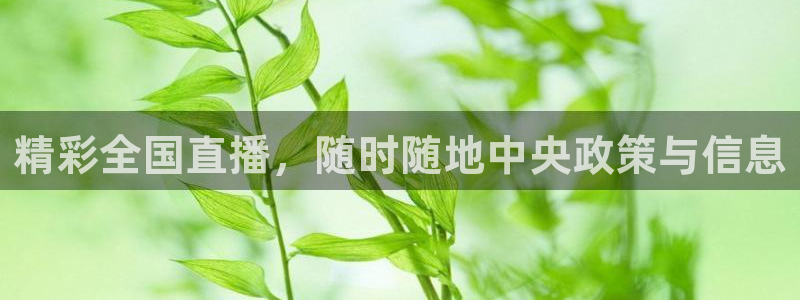 dqiuvip斗球直播：精彩全国直播，随时随地中央政策与信息