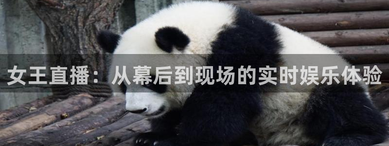 斗球直播改名叫什么了：女王直播：从幕后到现场的实时娱乐体验