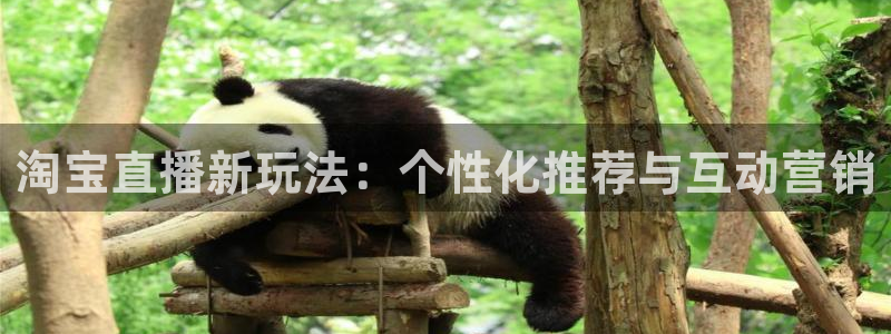 斗球体育下载地址：淘宝直播新玩法：个性化推荐与互动营销